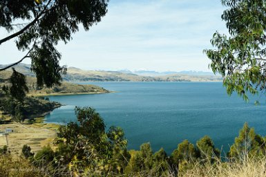 F2016___14815 Lac mineur Titicaca avec la cordillère royale au fond