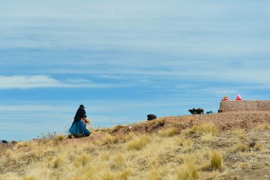 F2016___14779 Tiwanaku, cité du soleil, paysannes fauchant sur le site