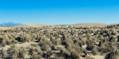 F2016___13801 Près de Ouel Qarani, dunes