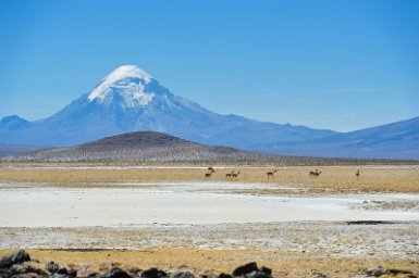 F2016___14002 Vue sur le Sajama, 6542 m, point culminant de Bolivie