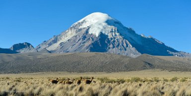 F2016___14065 Vue sur le Sajama, 6542 m, point culminant de Bolivie