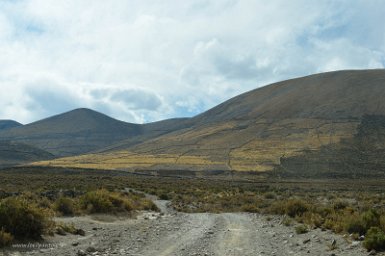 F2016___13730 Salinas, champs de quinoa. Les plus élevés sont abandonnés et couverts de paille huaylla qui sert à fabriquer des matelas. Seuls les champs mécanisables sont...