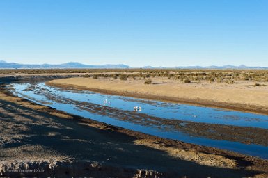 F2016___13774 Passage sur le rio Laca Jahuira, qui est une rivière salée issue du lac Poopò et qui se perd dans le salar de Coipasa