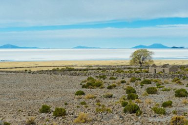 F2016___13604 Coquesa, au bord du salar, un village agricole que seul le tourisme pourrait voir renaître.