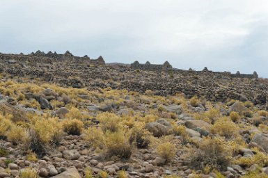 F2016___13611 Coquesa, au bord du salar, un village agricole que seul le tourisme pourrait voir renaître.