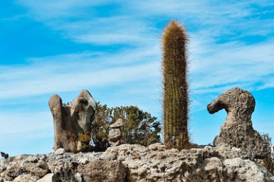 F2016___13640 Musée de Chantani (entre Coquesa et Tahua). Sculptures créées par Santos Quispe Cayo