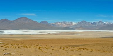 F2016___12939 Laguna Salada et Salar de Chalviri, 15 km à l'ouest de la Laguna Kollpa