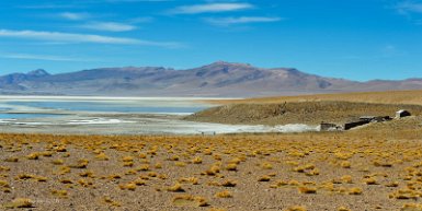 F2016___12945 Salar de Chalviri