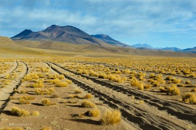 F2016___13189 Piste du nord vers la Laguna Ramaditas