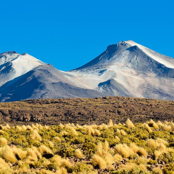 De San Pablo de Lipez au Parc Eduardo Avaroa De plus en plus sauvage, de plus en plus haut, sur des pistes qui remplacent peu à peu les routes. Une journée...