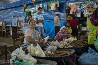 F2016___08724 A 25 km à l'ouest de Santa Cruz, marché de la Guardia, marchande de manioc