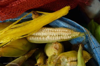 F2016___08896 Samaipata, marché: maïs local à très gros grains