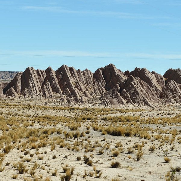 Département de La Paz Département essentiellement montagneux, il abrite la capitale de la Bolivie et la ville champignon d'El Alto qui a...