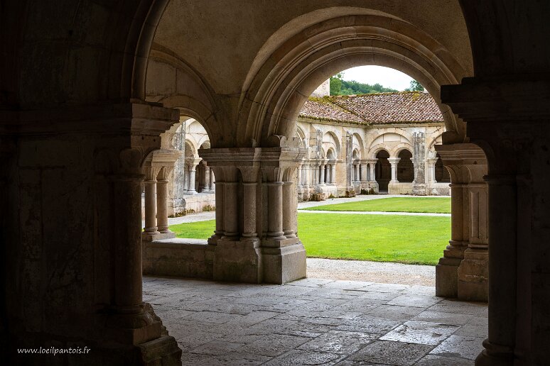 20210725__00152-40 Abbaye cistercienne de Fontenay: vue sur le cloître