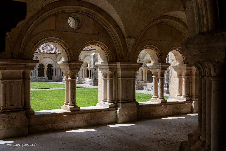 20210725__00152-50 Abbaye cistercienne de Fontenay: vue sur le cloître