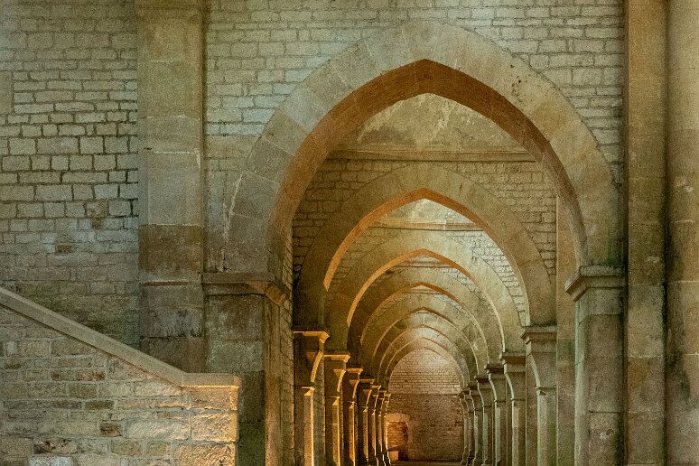 20210725__00152-67 Abbaye cistercienne de Fontenay: bas coté de l'abbatiale
