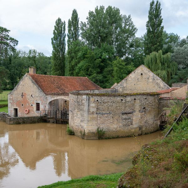 Les forges de Buffon Georges Louis Leclerc, annobli comte de Buffon en 1773 (1707-1788) est l'archétype du savant des lumières: naturaliste...