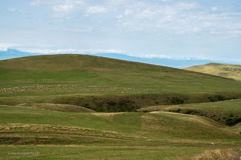 20220506__00078-13 Paysage sur la route de Tbilissi au monastère de David Garedja