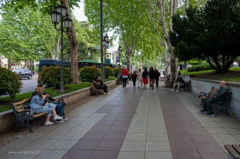 20220504__00143-101 Avenue Chota Rustavéli (1172-1216), le plus célèbre des écrivains georgiens auteur du