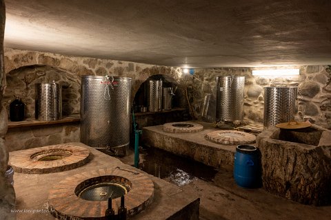 20220516__00080-3 Vardzia, Valodia's cottage, la cave, dite marani, avec des jarres enterrées, les Kvevris où le vin vieillit.