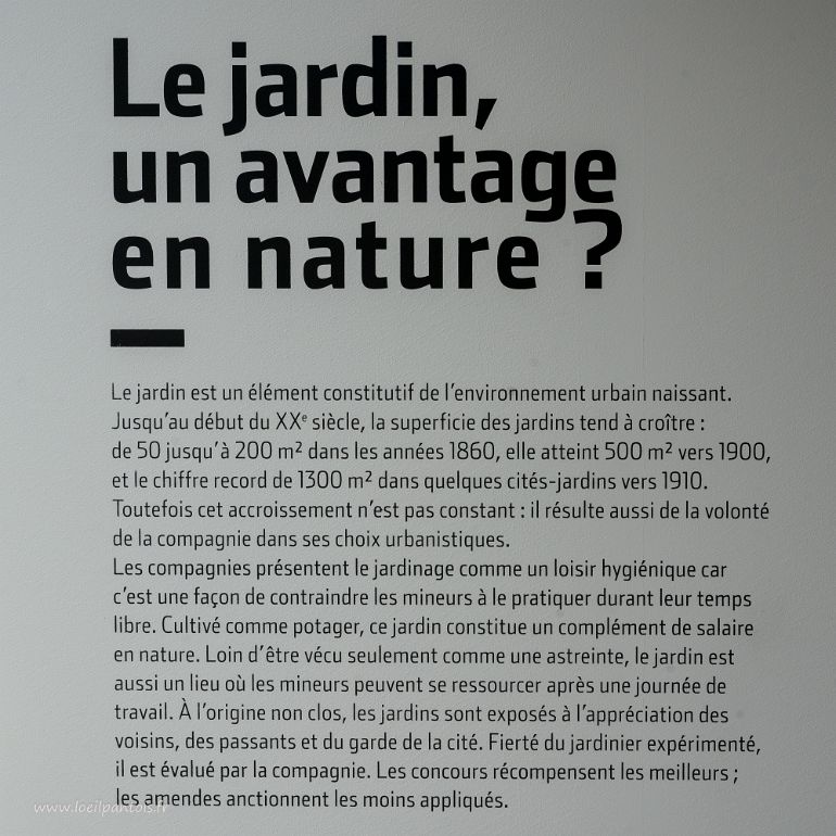 20210910__00390-18 Cité des électriciens: le jardin, avantage en nature?