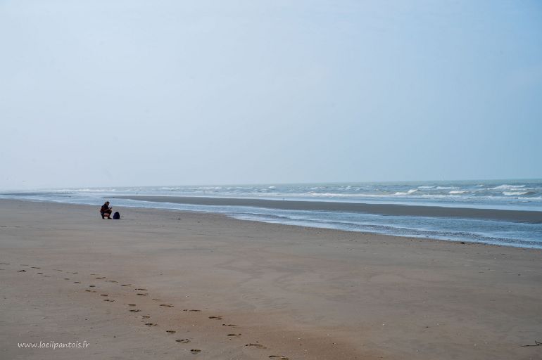 20210904__00281-44 Les plages de Bray-Dunes