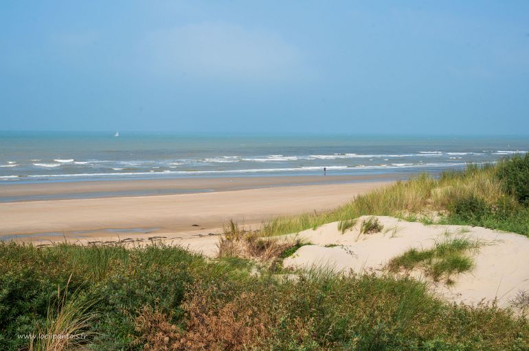 20210904__00281-47 Les plages de Bray-Dunes