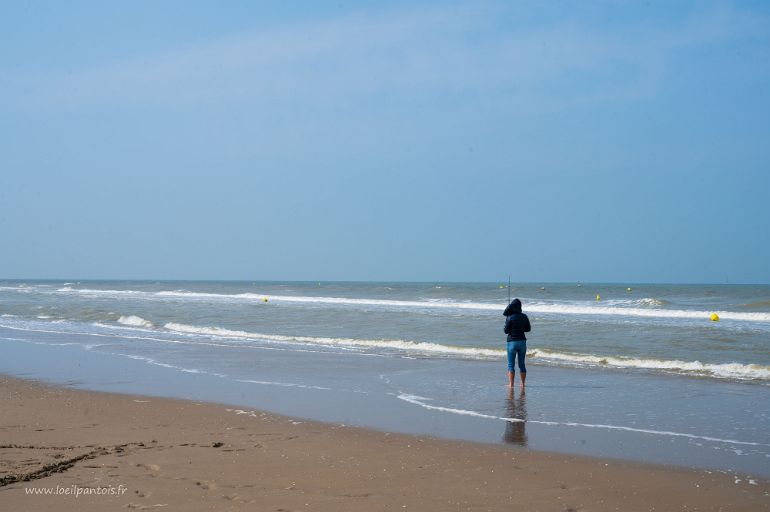 20210904__00281-8 Les plages de Bray-Dunes