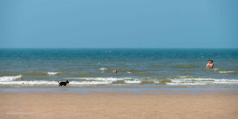 20210905__00281-79 Plage de Wissant, baigneur timide