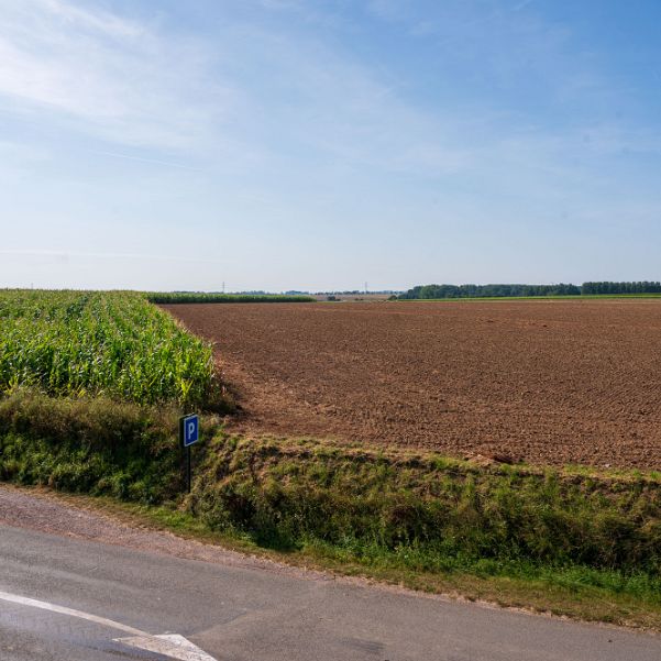 D'Azincourt à Saint Omer Azincourt: une terrifiante défaite de l'armée française en 1415 qui fit du roi d'Angleterre l'héritier du royaume de...