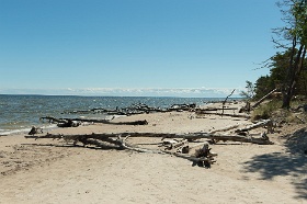 20180626__00348-112 Cap Kolka, bois flottés