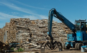 20180626__00348-131 Roja, entreposage de bois.