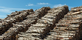 20180626__00348-134 Roja, entreposage de bois.