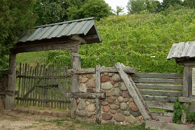 20180624__00328-24 Sabile, la vigne la plus septentrionale du monde, mais son vin n'est pas commercialisé.