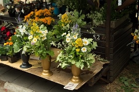 20180623__00392-23 Rue Aizsaules, devant les cimetières Raina et Meza, marchands de fleurs