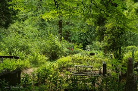 20180623__00392-39 Rue Aizsaules, Raina Kapi (cimetière Rainis)