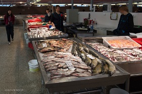 20180620__00257-65 Marché central, hall des poissons