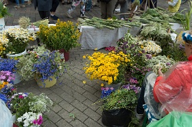 20180622__00735-230 Marché aux fleurs du Ligo, rue Jauniela, devant la cathédrale