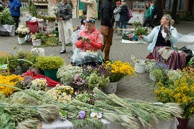 20180622__00735-232 Marché aux fleurs du Ligo, rue Jauniela, devant la cathédrale