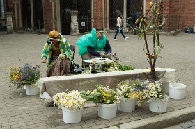 20180622__00735-237 Marché aux fleurs du Ligo, rue Jauniela, devant la cathédrale