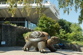 20180627__00348-50 Jurmala, la tortue du Baltic Beach Hotel