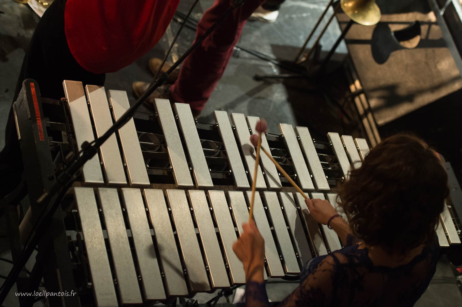 Loïc Lantoine et The Very Big Experimental Toubifri Orchestra 