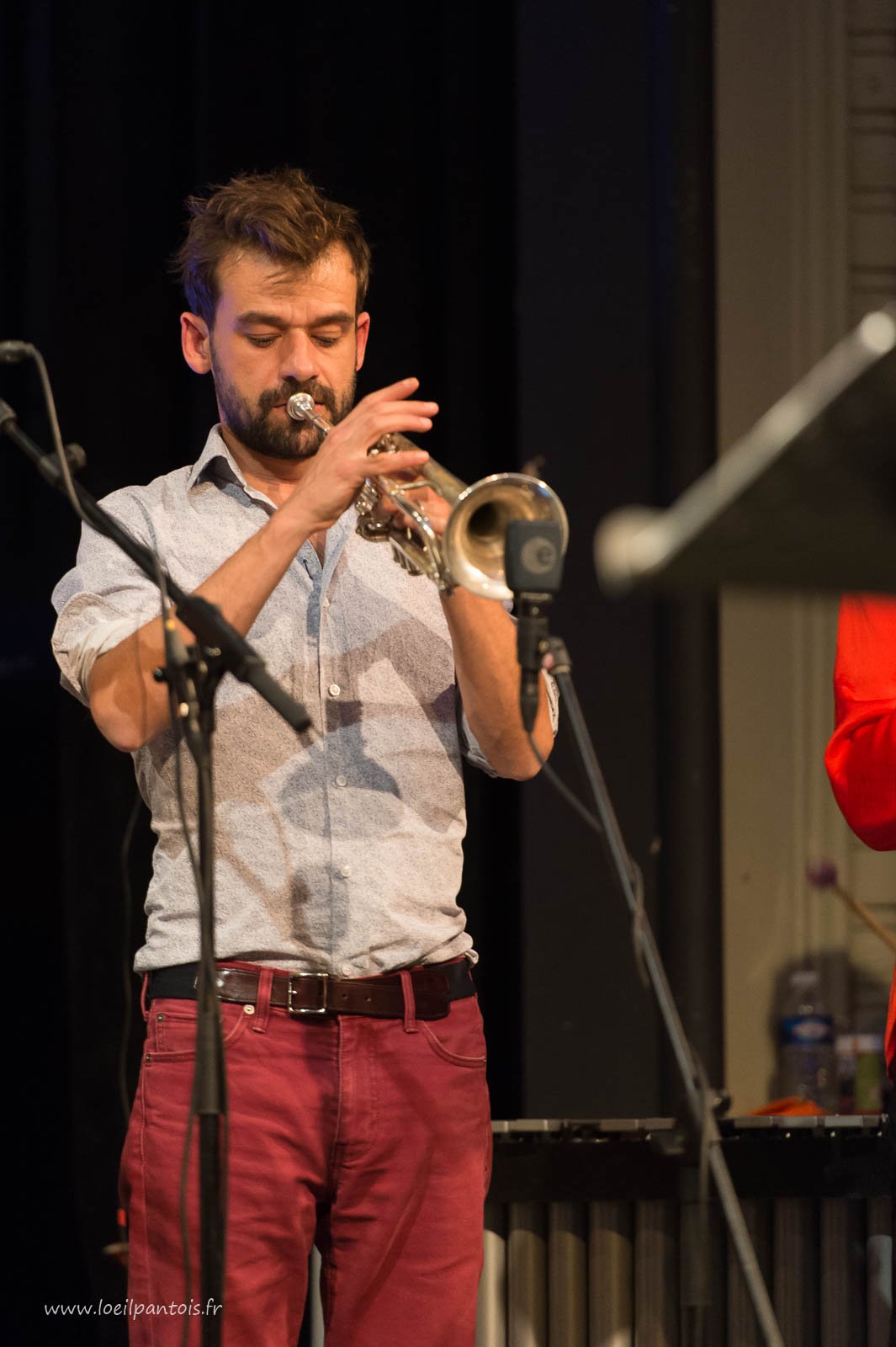 Loïc Lantoine et The Very Big Experimental Toubifri Orchestra 