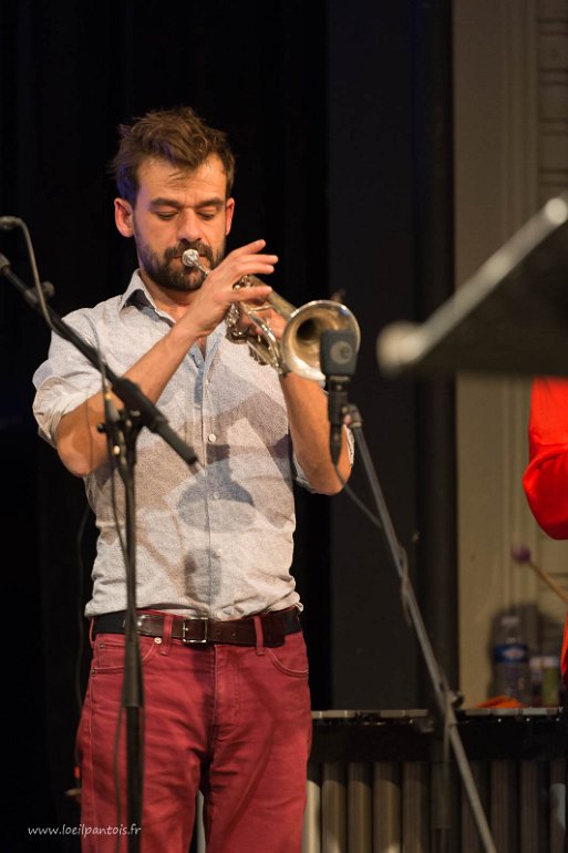 Loïc Lantoine et The Very Big Experimental Toubifri Orchestra