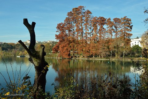 F2015__14898 Parc de la Tête d'Or