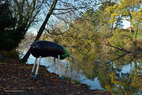 F2015__14899 Parc de la Tête d'Or, Biennale Lyon: Aubergine assoiffée de Darren Bader